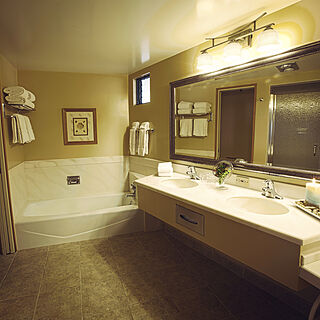 Club Wyndham Harbortown Point — Bathroom
