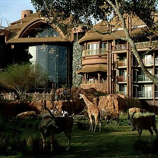 Disney's Animal Kingdom Villas - Jambo House