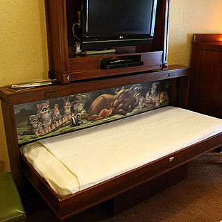 Boulder Ridge Villas at Disney's Wilderness Lodge — Sample murphy pull-down bed