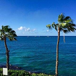Renaissance Wind Creek Aruba - Marina Tower