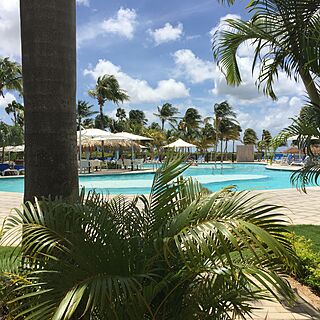 Renaissance Wind Creek Aruba - Marina Tower