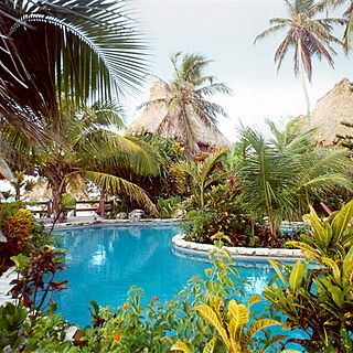 Club Mahindra Snowview Resort &mdash; - Pool