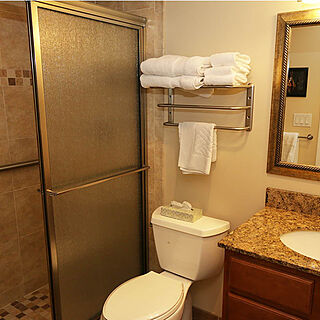 Club Regency at Marco Island &mdash; Sample Bathroom