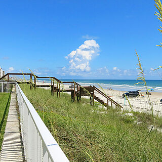 New Smyrna Waves — Beach Path