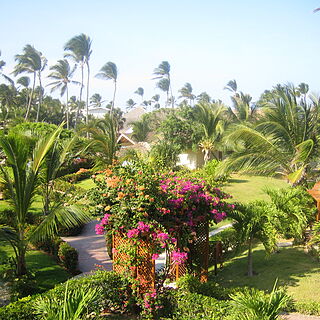 Cayena Beach Club
