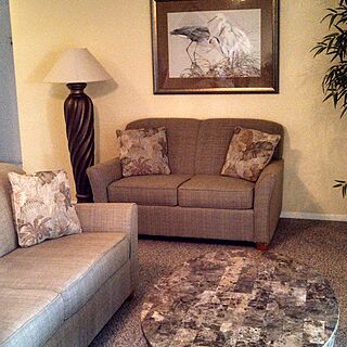 Lago Vista at Buenaventura Lakes &mdash; Living Area