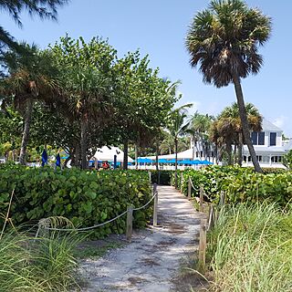 Casa Ybel Resort — Beach to pool bar