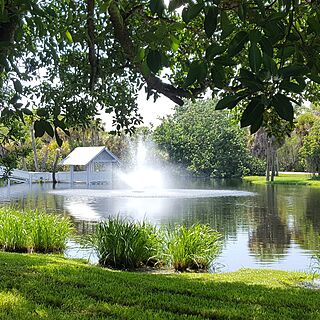Casa Ybel Resort — pond view