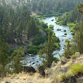 The Lodge at Eagle Crest Resort — Dechutes River from Deck