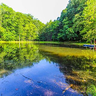 Alpine Crest Resort &mdash; Lake