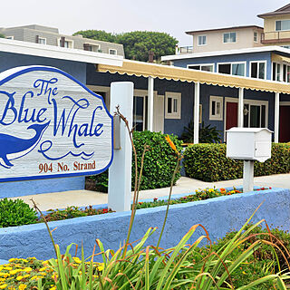 Blue Whale — Exterior