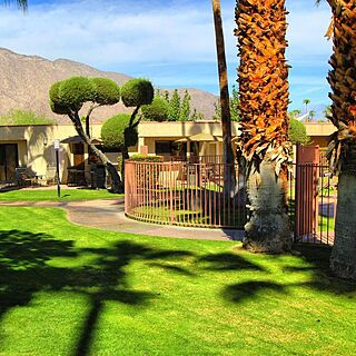 Desert Isle Resort — Grounds