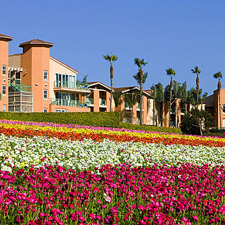 Grand Pacific Palisades Resort — Exterior