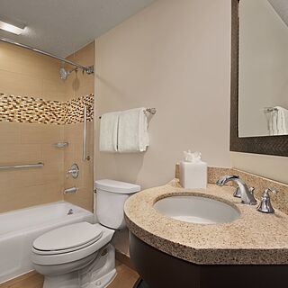 Marriott's Monarch at Sea Pines — Sample Bathroom