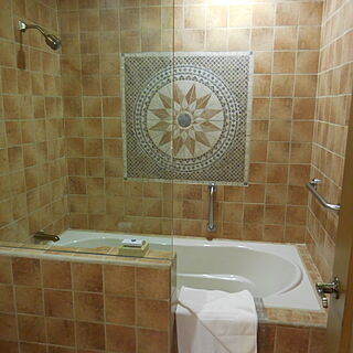 Royal Haciendas — Sample Bathroom