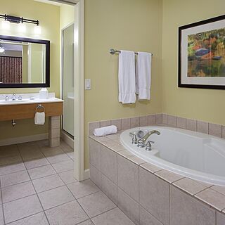 Holiday Inn Club Vacations at Lake Geneva Resort — Bathroom