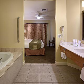 Holiday Inn Club Vacations at Lake Geneva Resort — Bathroom