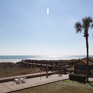 Peppertree by the Sea