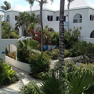 Paradise Island Beach Club