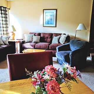 Cathedral Ledge Resort — Living Area