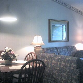 Tree Tops Resort of Gatlinburg — - Unit Living Area