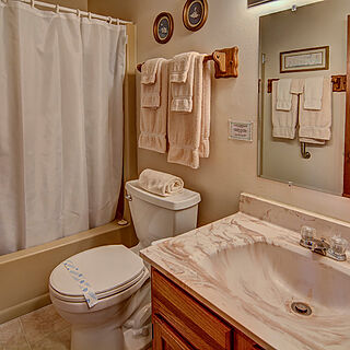 Nicolet Shores — Bathroom
