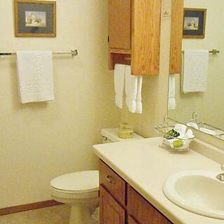 Pheasant Park — Bathroom