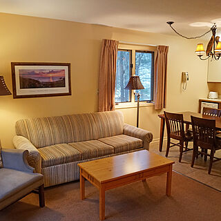 Telemark Vacation Condominiums — Living Area