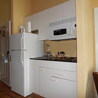 Coconut Malorie Resort — Sample unit