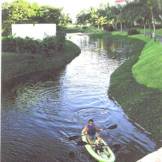 Mayan Sea Garden