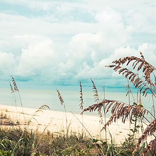 Hyatt Vacation Club At Coconut Cove &mdash; Resort Beach