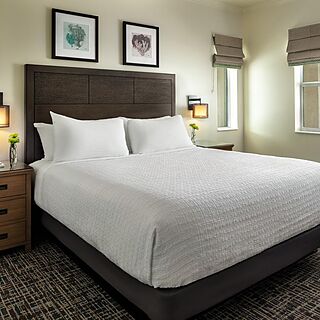 Hyatt Vacation Club At Coconut Cove &mdash; Sample Villa Bedroom