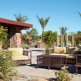 Westin Desert Willow — Grounds