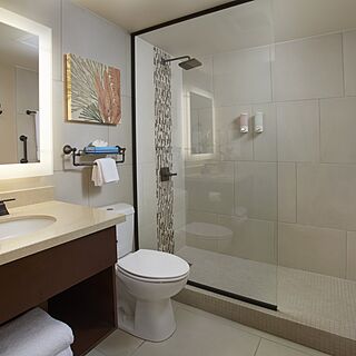 Eagle Aruba Resort &mdash; Bathroom