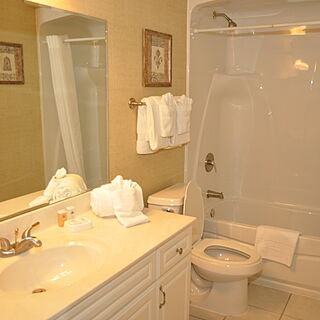 French Quarter — Sample unit bathroom