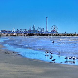 Four Seasons on the Gulf — Beach