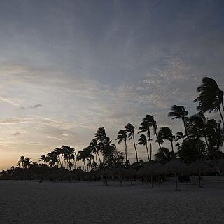 Divi Dutch Village Beach Resort &mdash; Beach