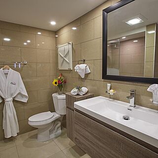 Divi Dutch Village Beach Resort &mdash; Sample Bathroom