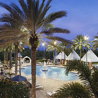 Hilton Grand Vacations at SeaWorld — Pool
