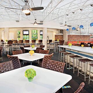 Hilton Grand Vacations at SeaWorld — Bar