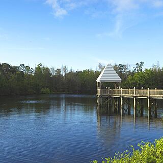 Hilton Grand Vacations at SeaWorld — Lake