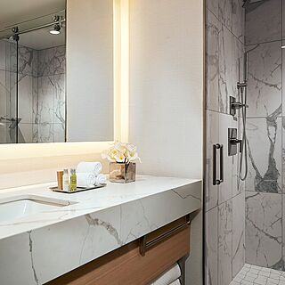 Hilton Grand Vacations Chicago Downtown Magnificent Mile — Bathroom