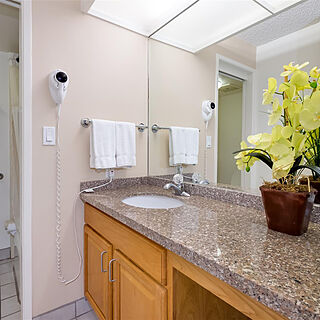 Maui Schooner &mdash; Bathroom
