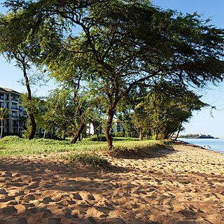 The Westin Nanea Ocean Villas — Exterior Beach View