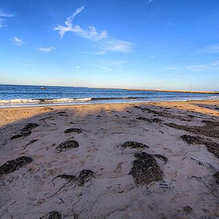 Island Manor Resort — Beach