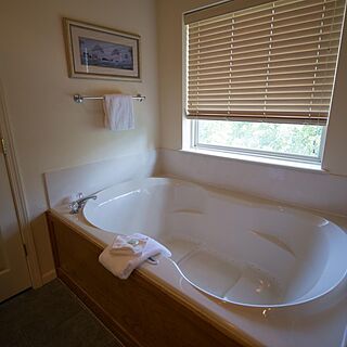 Branson Yacht Club &mdash; Bathroom