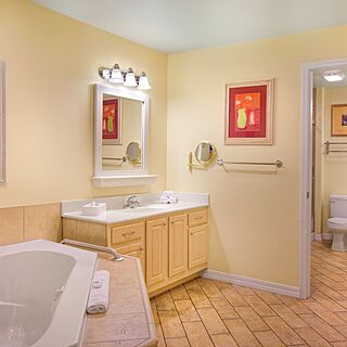 Wyndham Mountain Vista — Bathroom