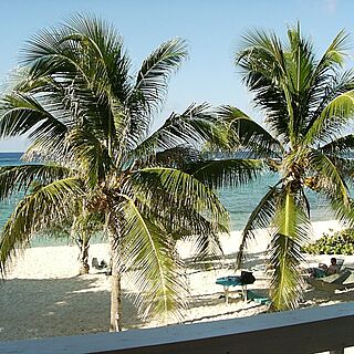 Morritt's Tortuga Club — Beach