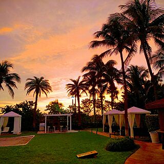 Westgate at South Beach — View from the back of resort