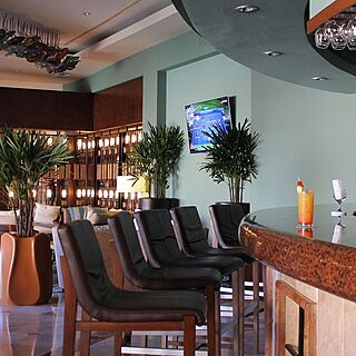 The Ridge at Playa Grande — Bar